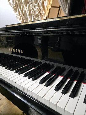 Образовательный проект «Звуки русской души» Театрально-концертное агентство "Звёздный дождь"